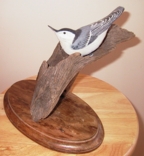 White breasted Nuthatch