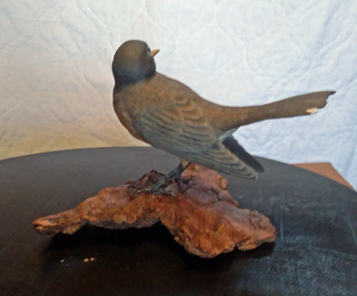 Robin