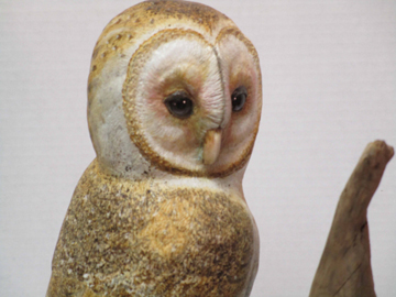 Owl Head