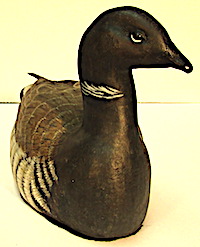 Brant Goose