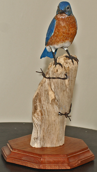 Front GView of Blue Bird