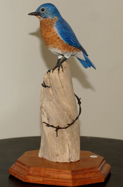 Side View of Blue Bird
