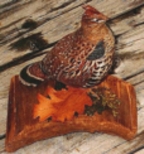 Ruffed Grouse