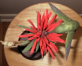 humming bird Top