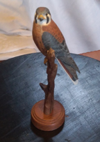 American Kestral Carving